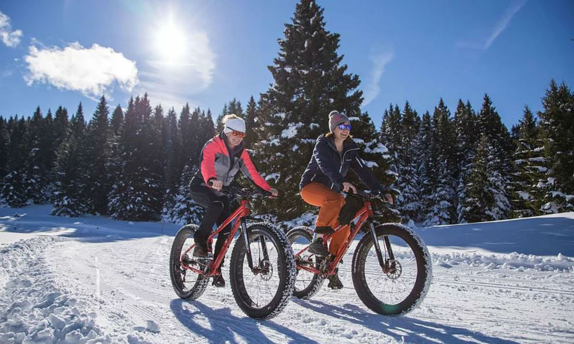 Cicliste con Fatbike nella foresta innevata.