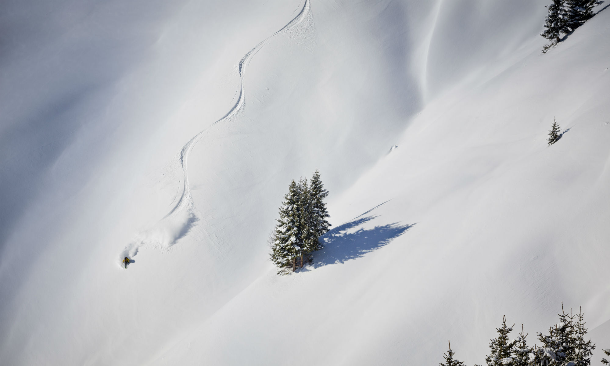 A freeride skier drawing turns into powder snow in Fieberbrunn.