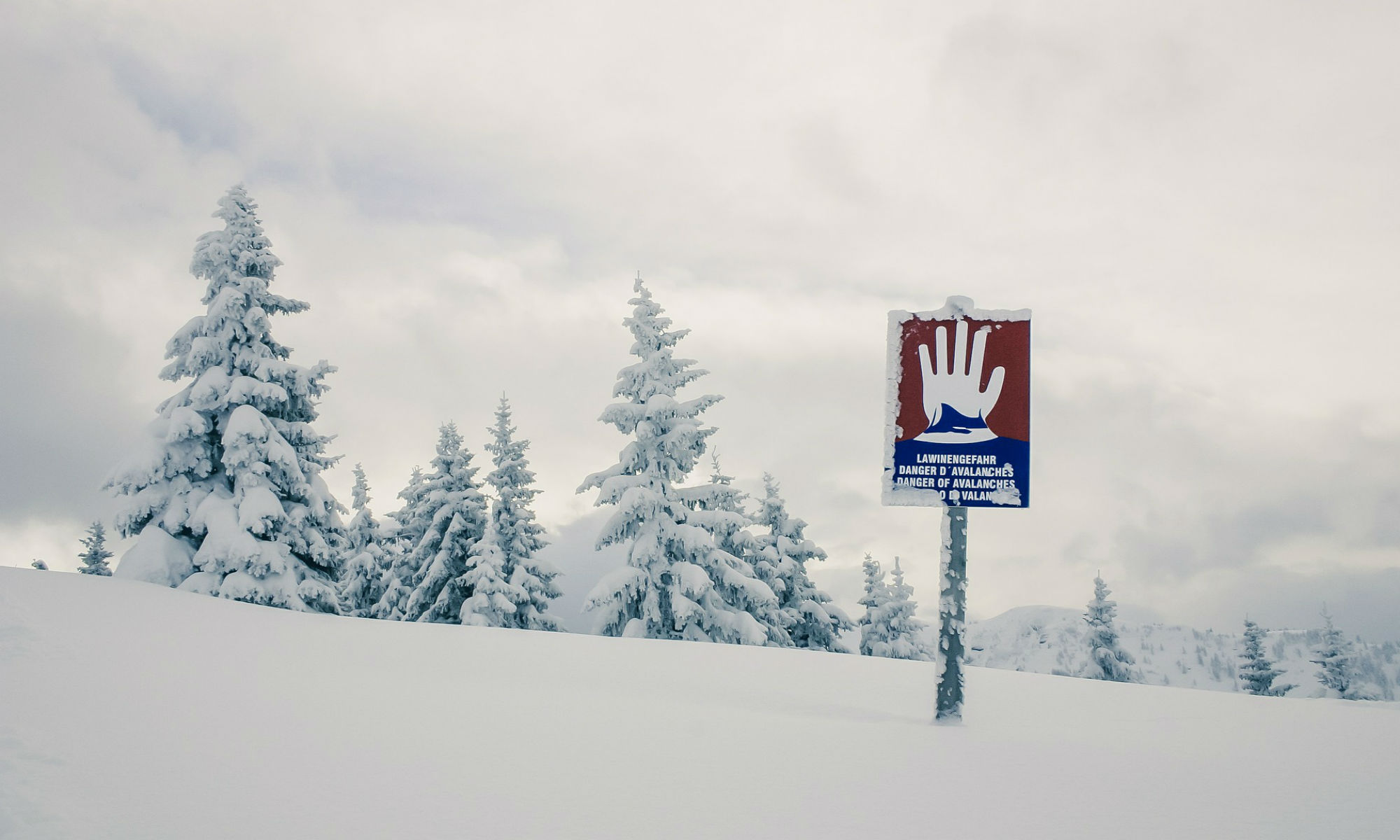 An avalanche warning sign on a powder snow descent.