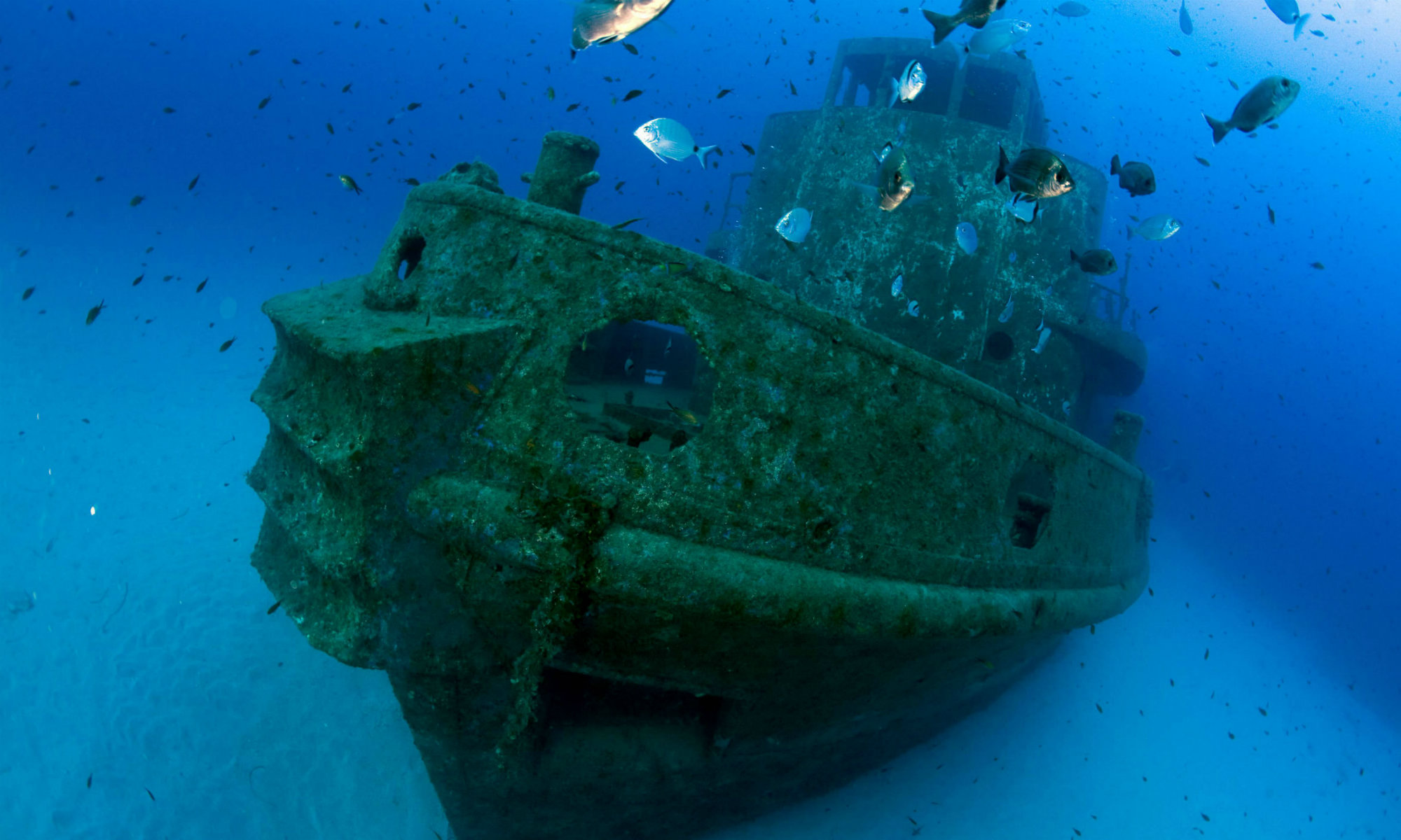 The Rozi Tugboat shipwreck is visible on the seabed.