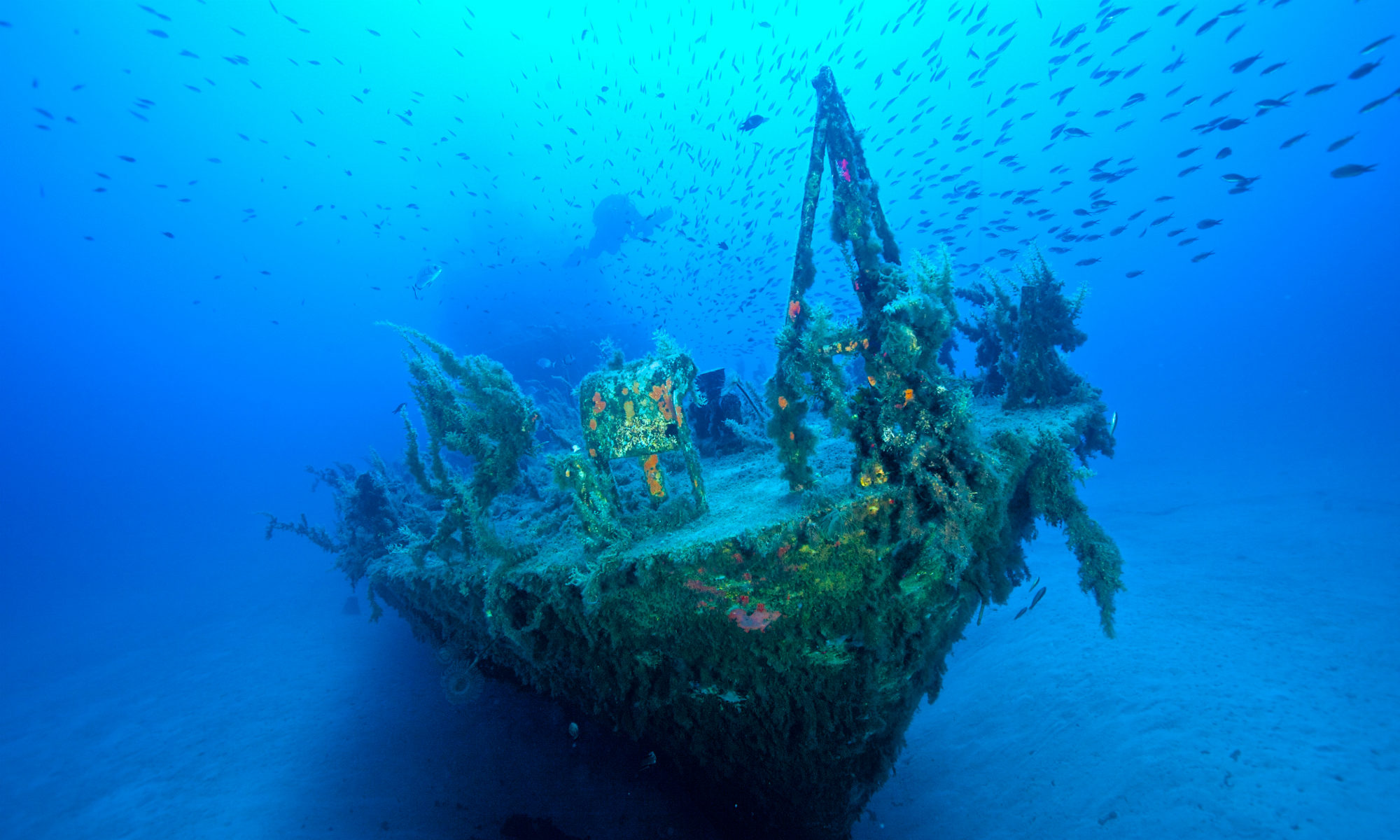 One of Malta’s many sunken shipwrecks is visible on the seabed.