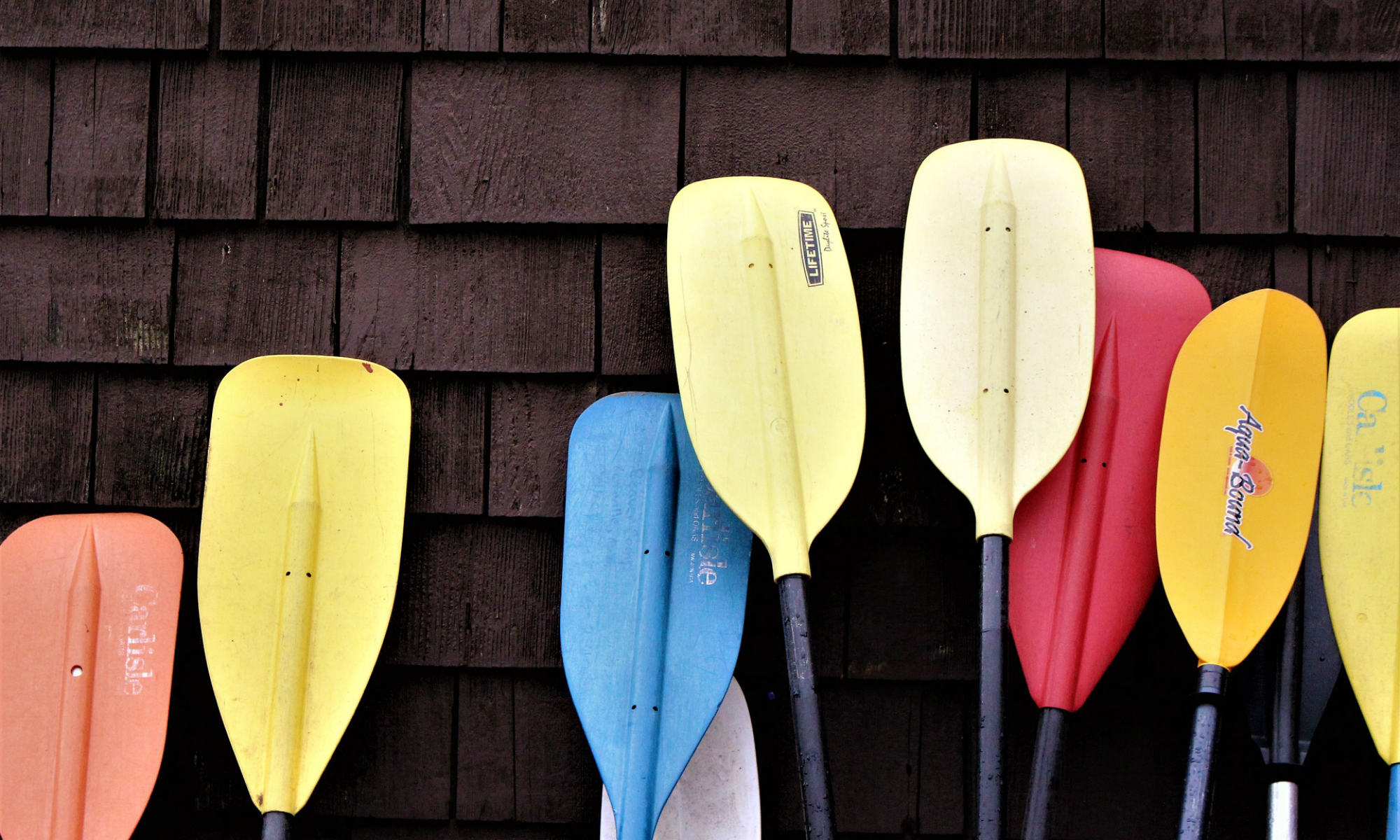 A number of paddles in different colours leaning against a wall.