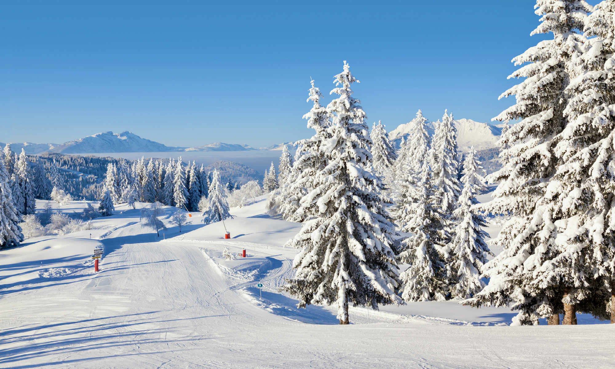 Sunny day view of tree-lined pistes in Les Gets.