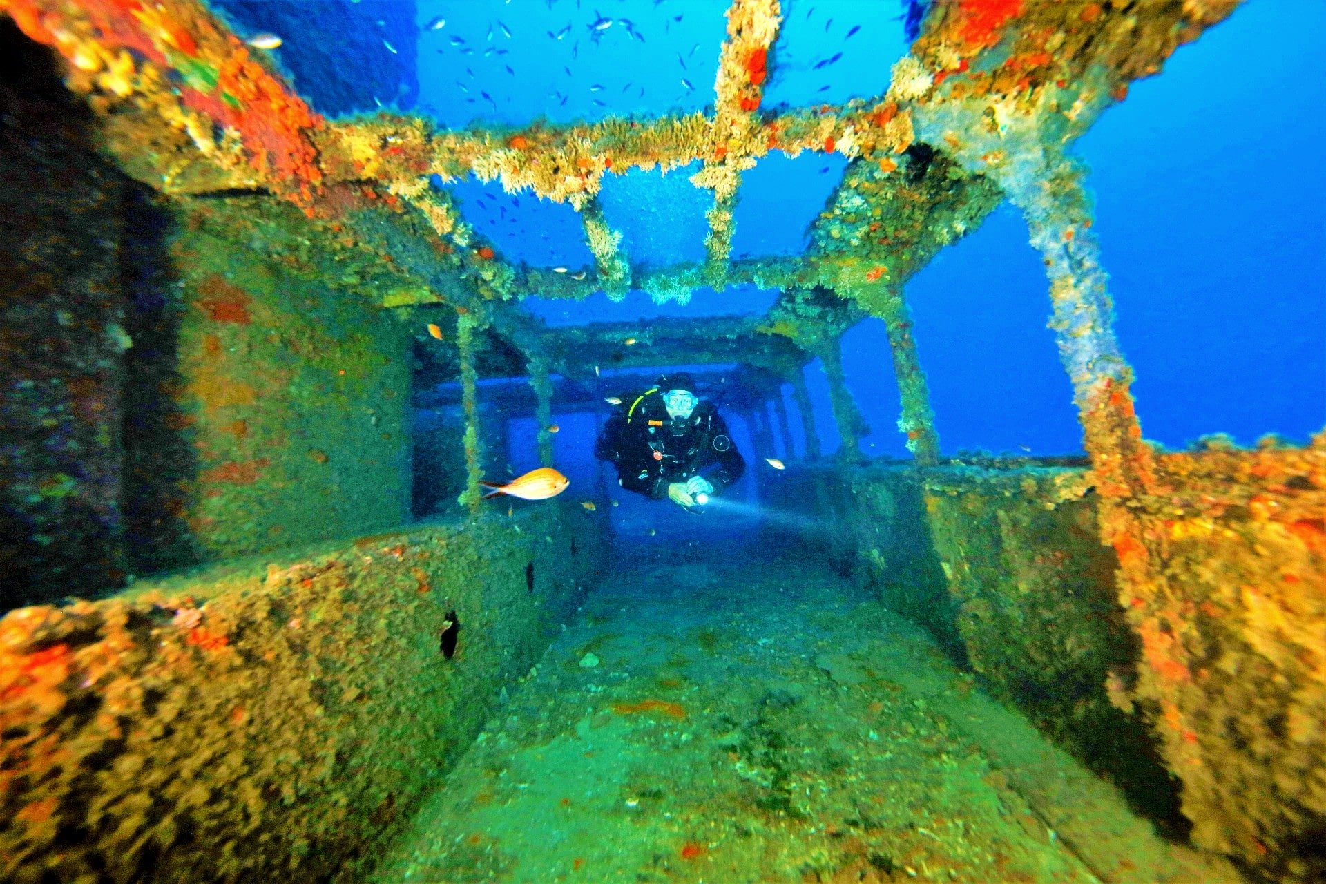 A man dives in Malta in a wreck.