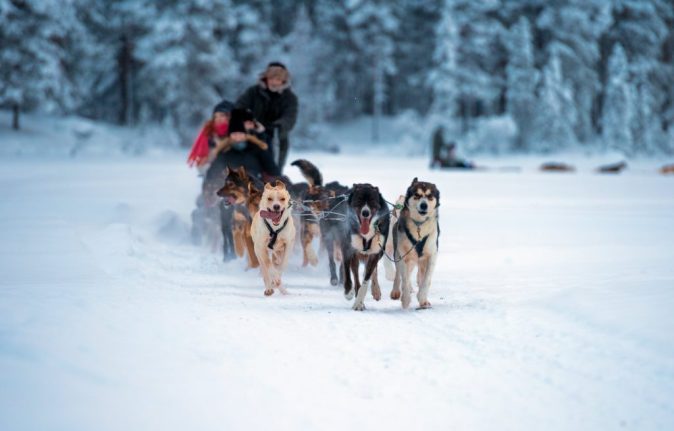 After hours spent on the slopes to learn to ski in Avoriaz, a family enjoys a husky sleigh ride.