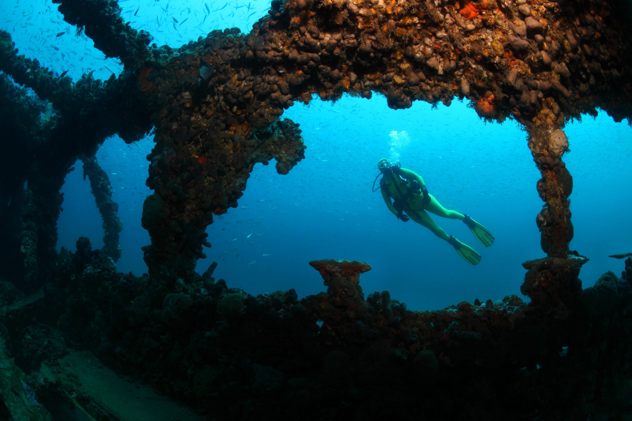 wreck-diving-in-istria-20-unmissable-wrecks-checkyeti-blog