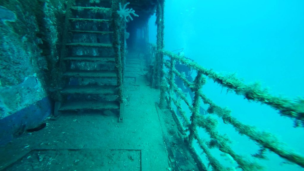 The stairs of a wreck in Croatia are covered with algae.