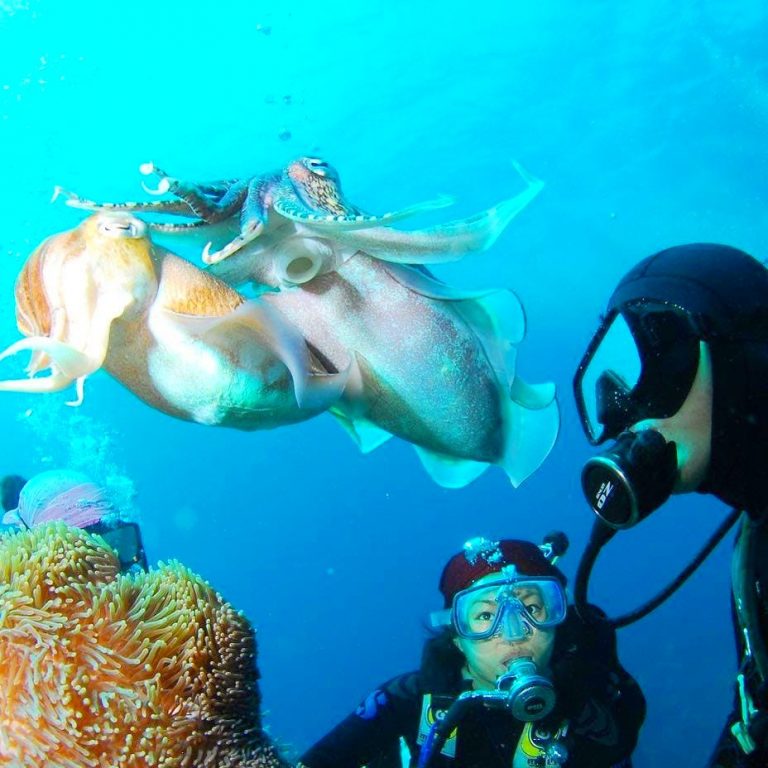 Scuba Diving in the Canary Islands the 5 best spots