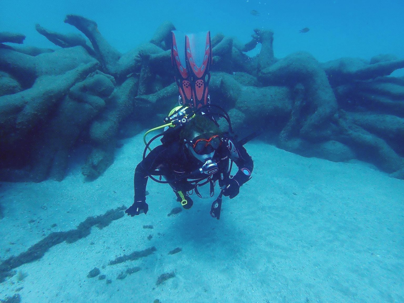 Scuba Diving in the Canary Islands: the 5 best spots