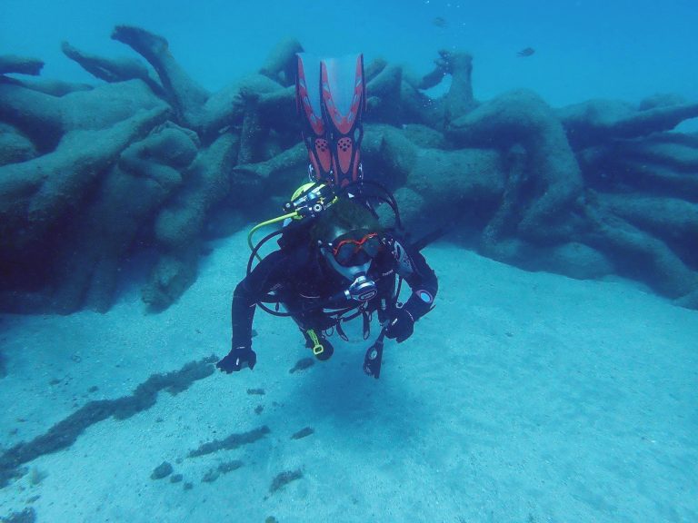 Scuba Diving in the Canary Islands the 5 best spots