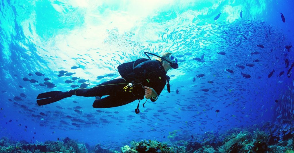 Scuba Diving in the Canary Islands: the 5 best spots