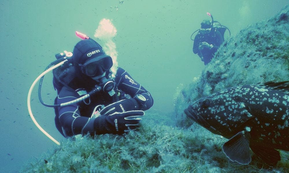 Scuba diving in Spain the 4 best spots CheckYeti Blog