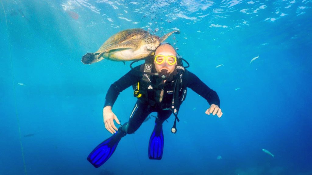 A man comes across a sea turtle while scuba diving in Spain.