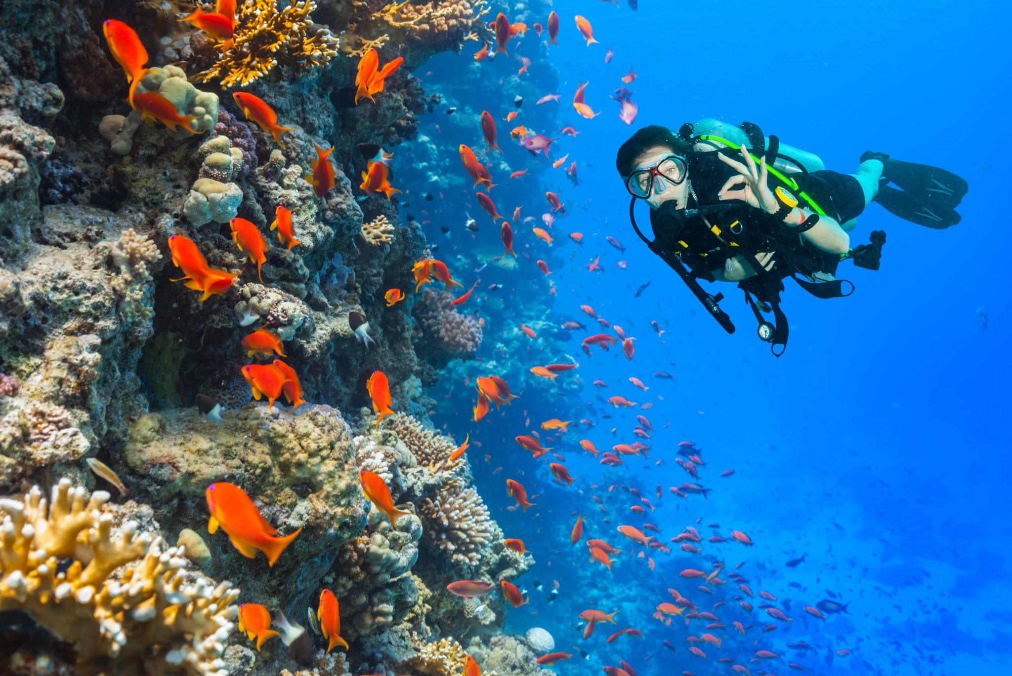 Scuba Diving for Beginners 5 essential tips to get started