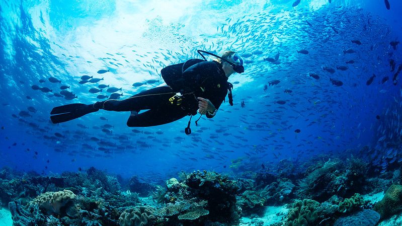 Un plongeur sous-marin explorant un récif corallien sous l'eau, entouré de poissons.
