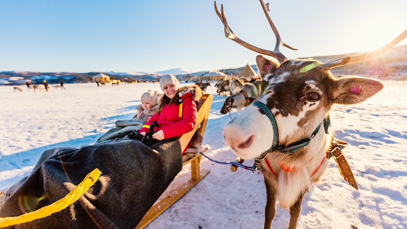 A woman relaxes in a cosy reindeer sleigh, surrounded by a snowy landscape and festive holiday cheer.