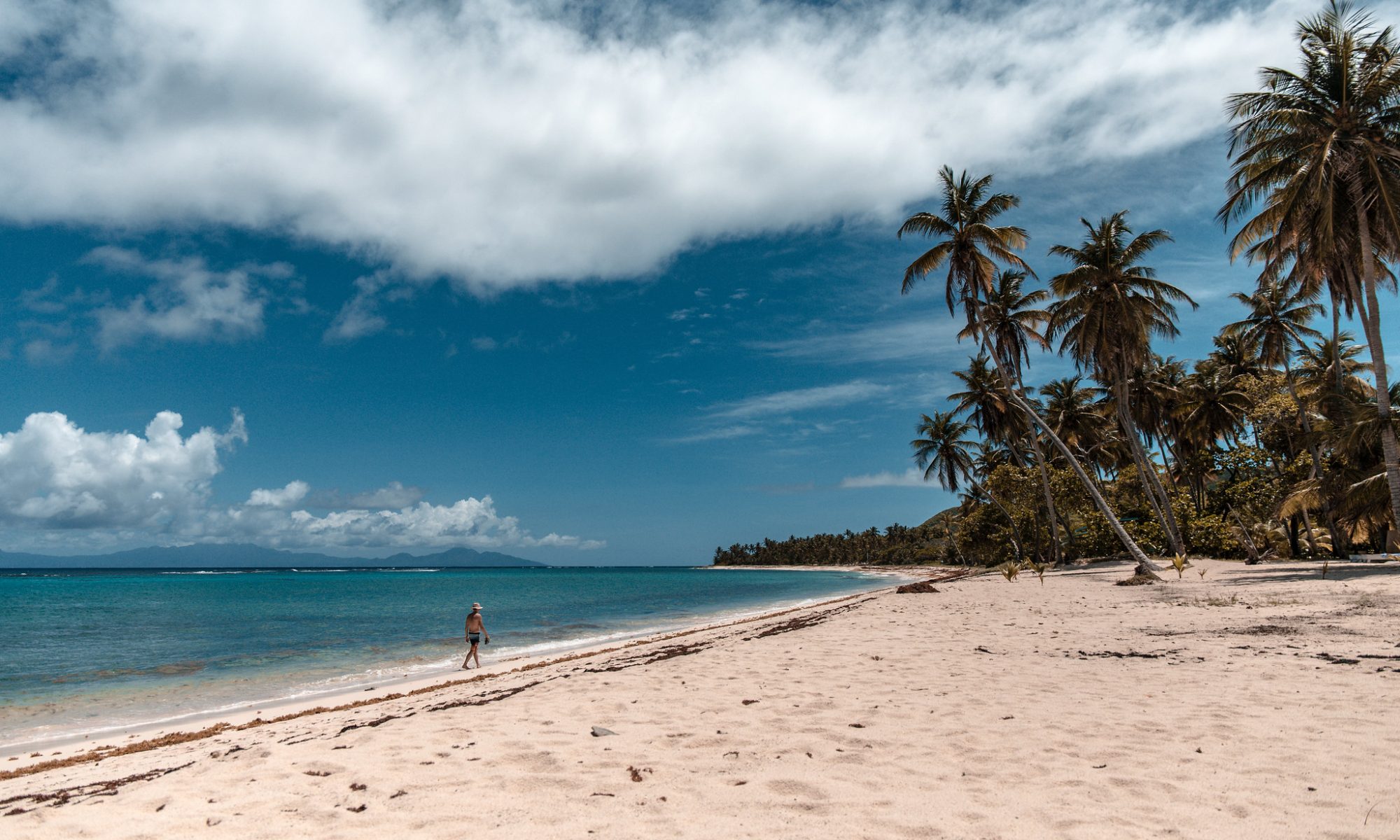 A serene sandy beach adorned with palm trees, set against a bright blue sky, creating a perfect tropical paradise scene.