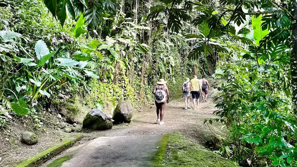 An hike in the Guadeloupe National Park.