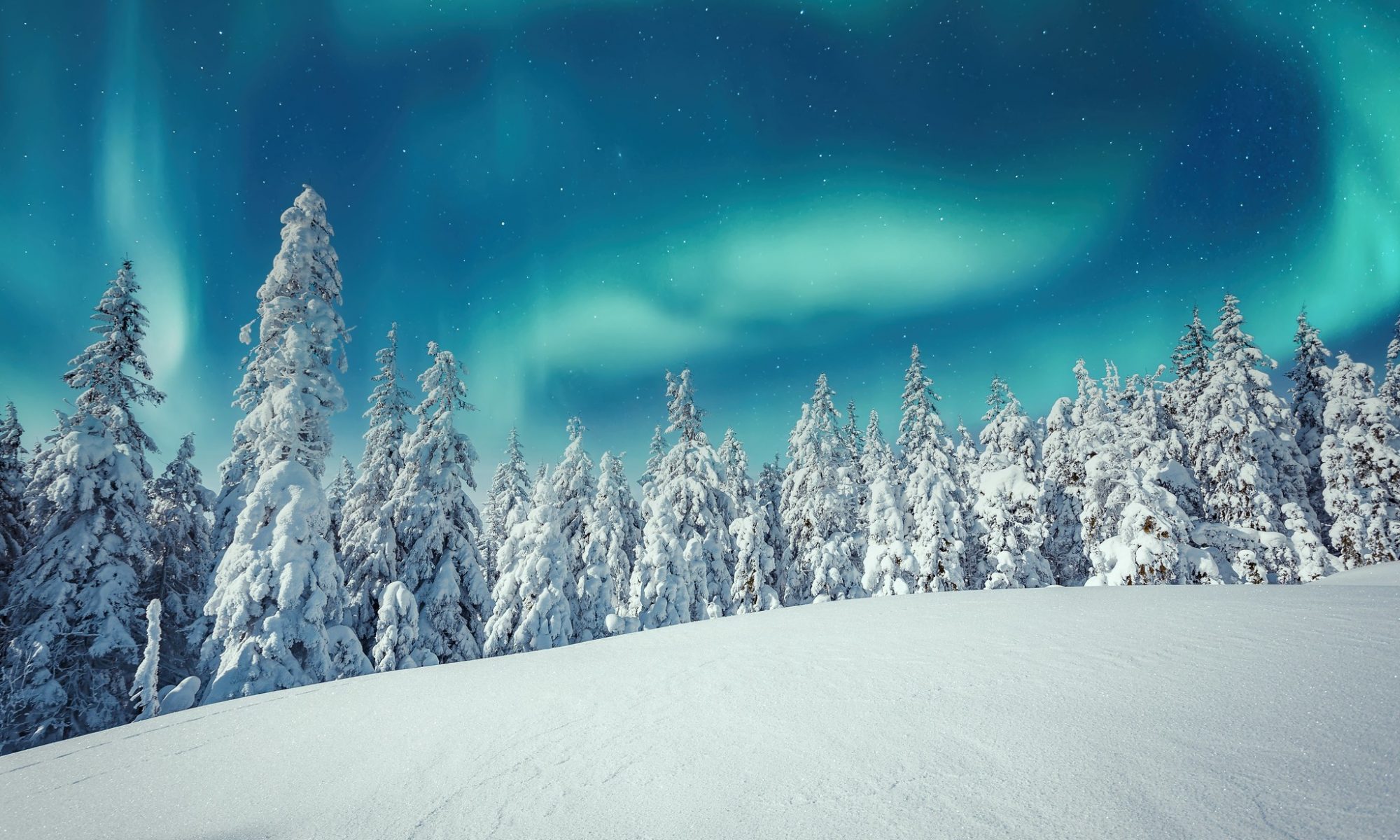 A stunning aurora borealis dances above snow-covered trees in a serene winter landscape.